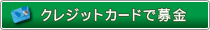クレジット決済でお申し込み